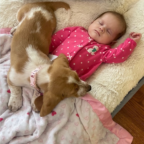 💕💕All Reasonable Offers Accepted💕💕 - Picture 8 of 12